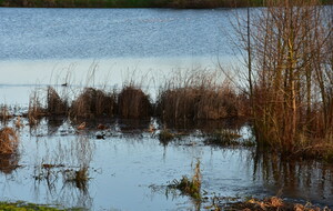 Marche rapide : Blainville : Autour du Dan