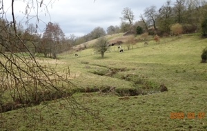 La Groudière - Saint Martin des Besaces