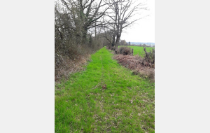 Les Saulces : Les Loges-Saulces : Falaise