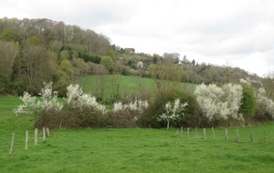 Genneville : La Vallée de l'Orange