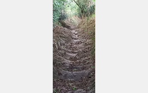 Le Circuit des Lavoirs