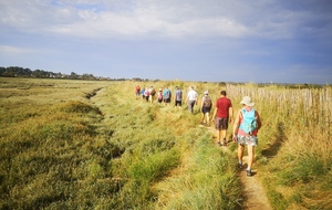 Marche rapide: Baie de Sallenelles
