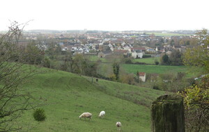 Vignes et bruyères- Argences