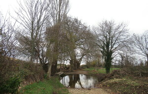 Argences un 17janvier