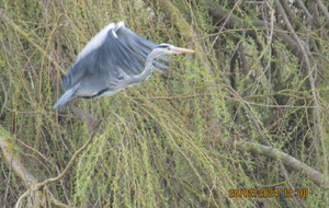 Les Côteaux du Laizon