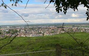 Marche Rapide : Argences en crêtes et marais