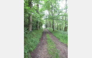 Rabodanges - Les gorges de Saint Aubert