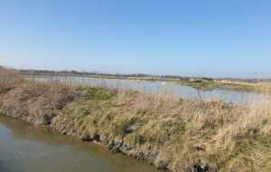 Marche rapide : Le Home- Gonneville-en-Auge