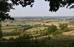 Lessard et le Chêne