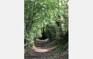 Balade Augeronne : Saint Léger du Bosq