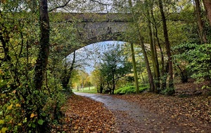 Marche rapide : Vallée de l'Odon : Verson