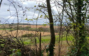 Les Pépinières : Ussy