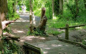 randonnée douce : Bois du Caprice