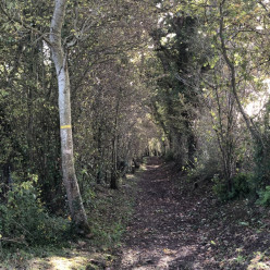 La Vallée de l'Ajon : Banneville-sur-Ajon