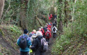 Gonneville en Auge : Le nouveau monde