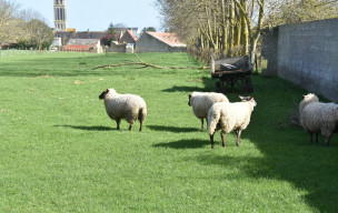 randonnée douce :Langrune-sur-mer