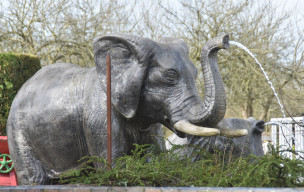 Un petit tour à Campigny