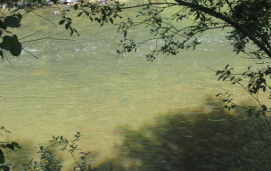 les roches du ham