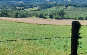 Marche rapide :  au TORQUESNE