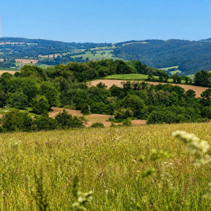 Saint-Omer