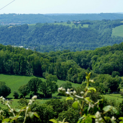 Saint-Omer