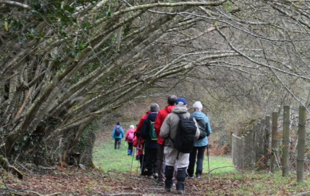 Gonneville en Auge : Le nouveau monde