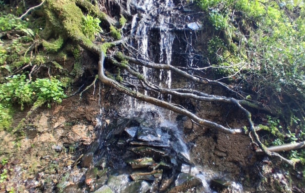 Sur les traces des Templiers : Vassy