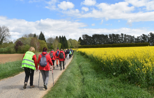 Les Pépinières : Ussy