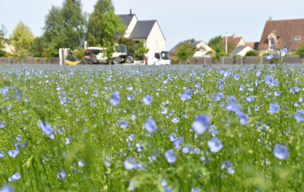 Randonnée douce du 29 avril Ouistreham