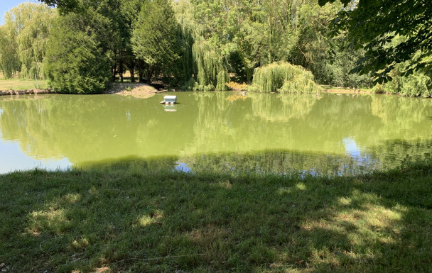 Randonnée douce : Ranville