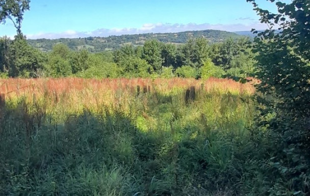 Marche rapide :  au TORQUESNE